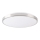 LED Plafondlamp KERN LED/24W/230V nikkel