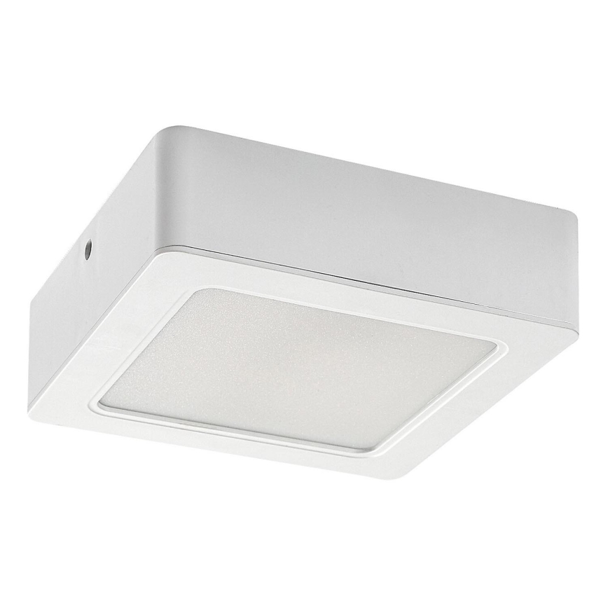 LED plafondlamp LED/12W/230V 14,5 cm