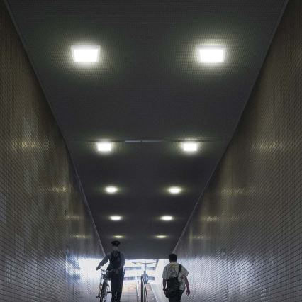 LED Plafondlamp LED/12W/230V 6500K 16,7x16,7 cm wit