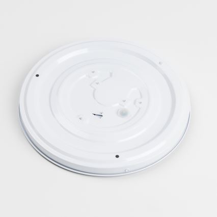 LED-plafondlamp LED/12W/230V Ø 32 cm grijs/zilver