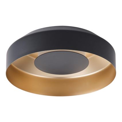 LED Plafondlamp LED/20W/230V 3000K zwart