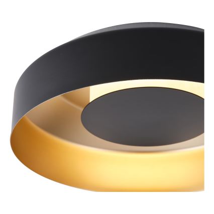 LED Plafondlamp LED/20W/230V 3000K zwart