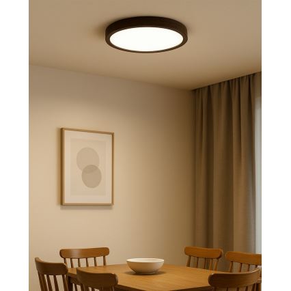 LED plafondlamp LED/24W/230V 3000/4000/6500K Ø 30 cm bruin