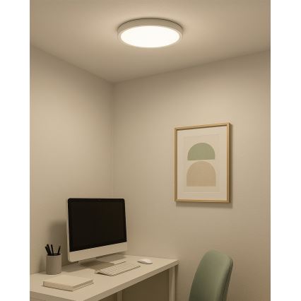 LED plafondlamp LED/24W/230V 3000/4000/6500K Ø 30 cm wit