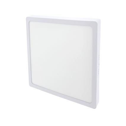 LED Plafondlamp LED/24W/230V 4200K 28x28 cm wit