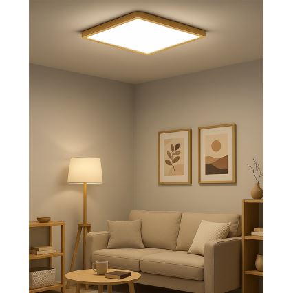 LED-plafondlamp LED/40W/230V 3000/4000/6500K 50x50 cm beige