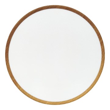 LED-plafondlamp LED/40W/230V 3000/4000/6500K Ø 50 cm beige