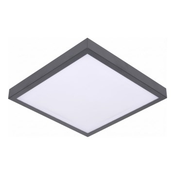 LED-plafondlamp met bewegings- en schemersensor VITALI LED/24W/230V 4000K 33x33 cm antraciet