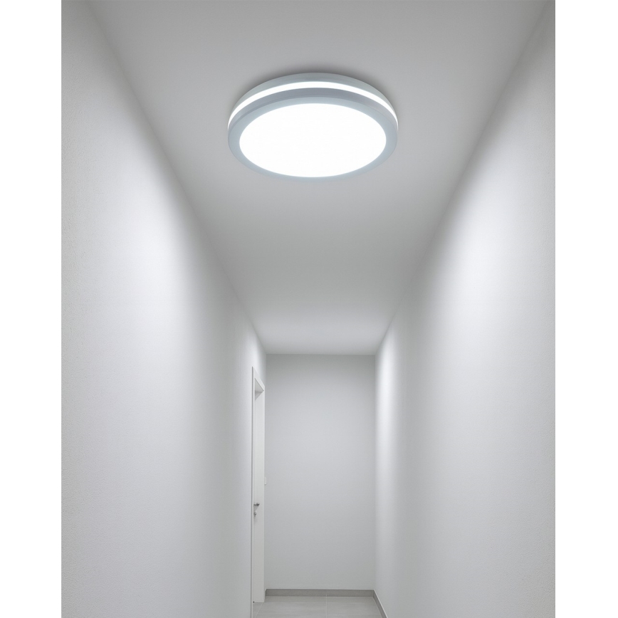 LED plafondlamp voor badkamer met bewegingssensor LED/20W/230V 3000/4000/6500K Ø 23 cm IP54 wit