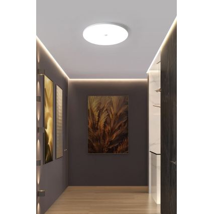 LED-plafondlamp met schemer- en bewegingssensor MORETTI LED/24W/230V pr. 30 cm IP40 6500K