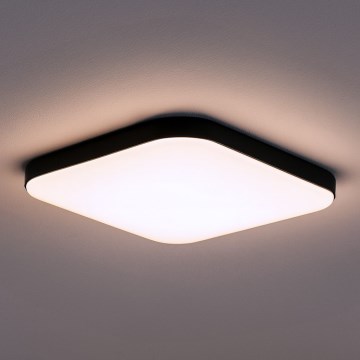 LED plafondlamp NEMO LED/36W/230V 50x50 cm zwart