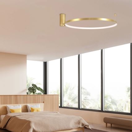 LED plafondlamp NOEMI LED/20W/230V 4000K diameter 50 cm goud