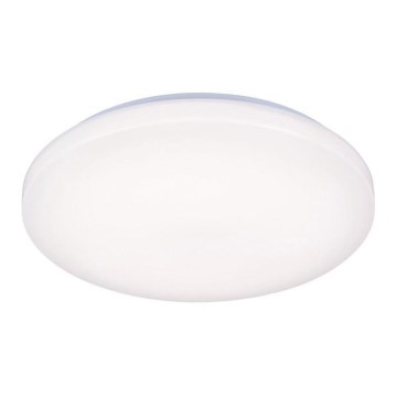 LED Plafondlamp OPAL LED/50W/176-264V