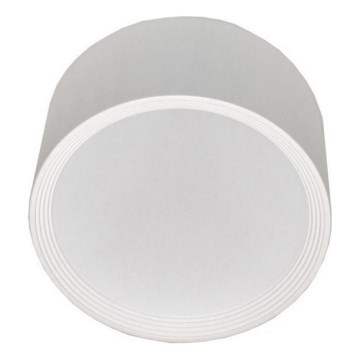 LED Plafondlamp PERCI LED/20W/230V IP40 4000K wit