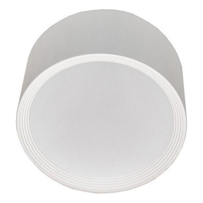 LED Plafondlamp PERCI LED/30W/230V IP40 4000K wit