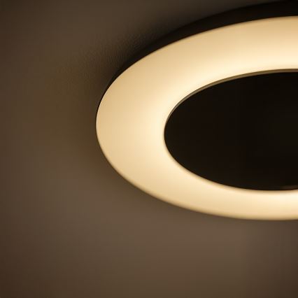 LED plafondlamp PIATTINO LED/30W/230V 3000/4000/6000K Ø 40 cm zwart