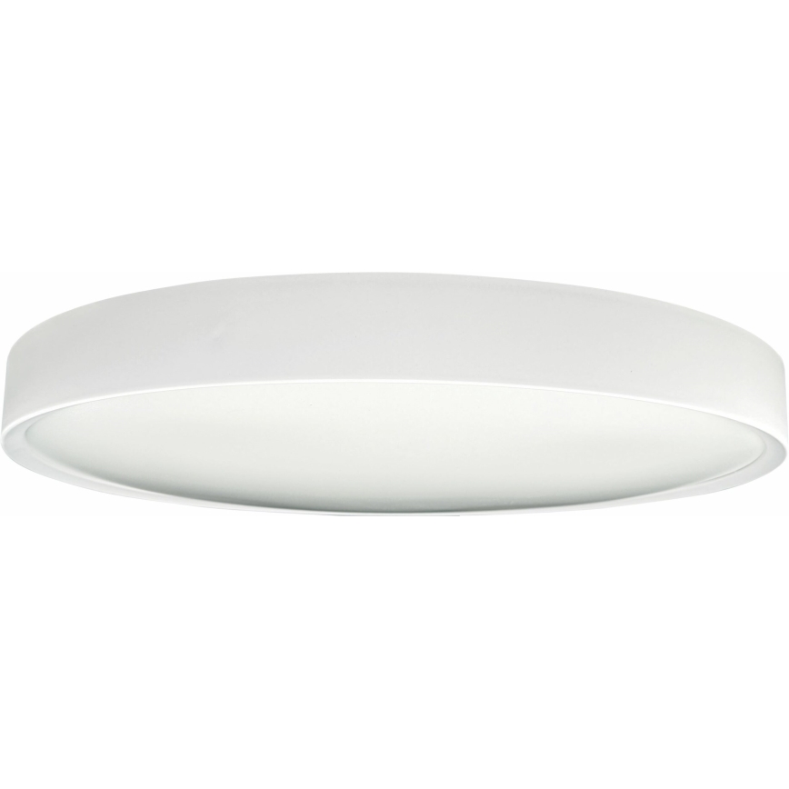 LED Plafondlamp SAMER LED/40W/230V 4000K