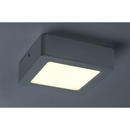 LED plafondlamp LED/12W/230V 14,5 cm