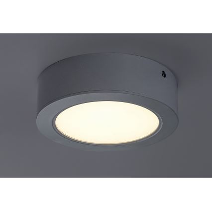 LED plafondlamp LED/12W/230V d. 14,5 cm