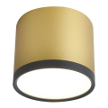 LED Plafondlamp TUBA LED/9W/230V