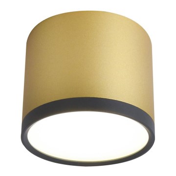 LED Plafondlamp TUBA LED/9W/230V