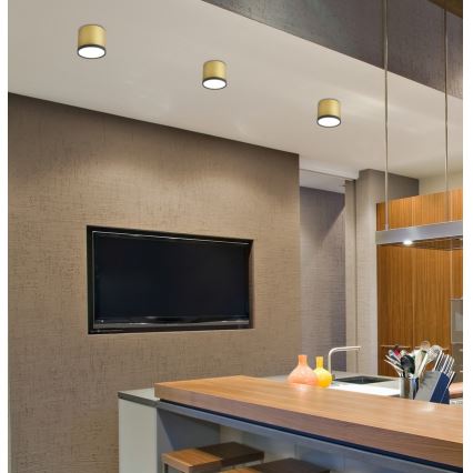 LED Plafondlamp TUBA LED/9W/230V