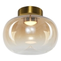 LED Plafondlamp VASO LED/4W/230V diameter 18 cm goud/gerookt