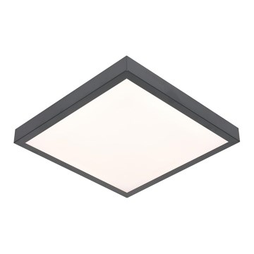 LED Plafondlamp VITALI LED/24W/230V