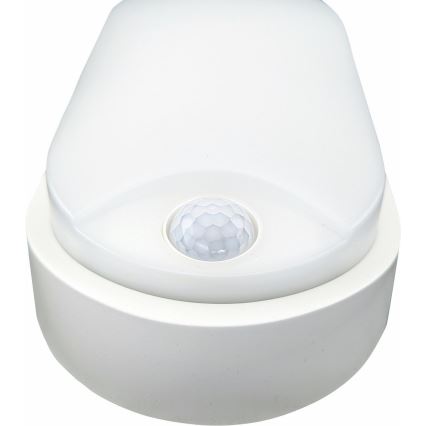 LED Plafondlamp voor buiten met sensor LED/14W/230V IP54 wit