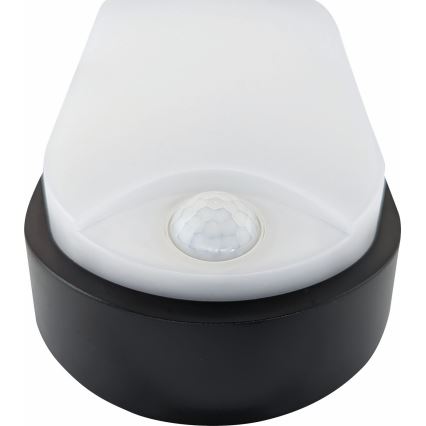 LED Plafondlamp voor buiten met sensor LED/14W/230V IP54 zwart
