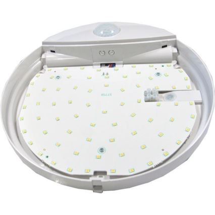 LED Plafondlamp voor Buiten met Sensor LED/15W/230V IP44