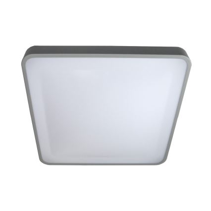 LED Plafondlamp WILTON LED/24W/230V grijs