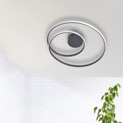 LED Plafondlamp ZEFIRA LED/40W/230V 4000K diameter 50 cm antraciet