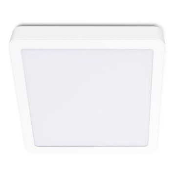 LED -plafondlicht SIGARO SQUARE LED/18W/230V 4000K IP40