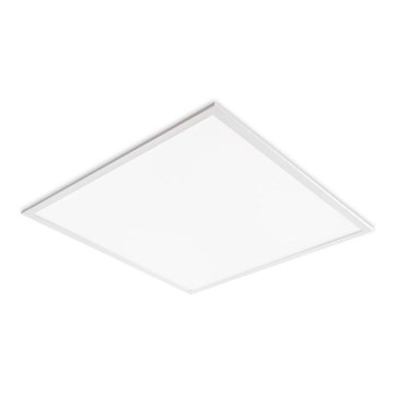 LED-plafondpaneel DAVRO LED/40W/230V 4000K 59,5x59,5 cm wit
