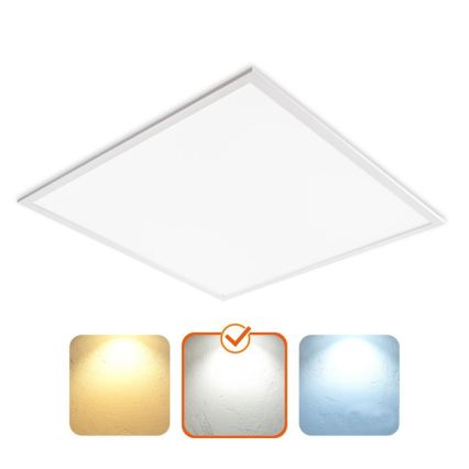 LED-plafondpaneel DAVRO LED/40W/230V 4000K 59,5x59,5 cm wit