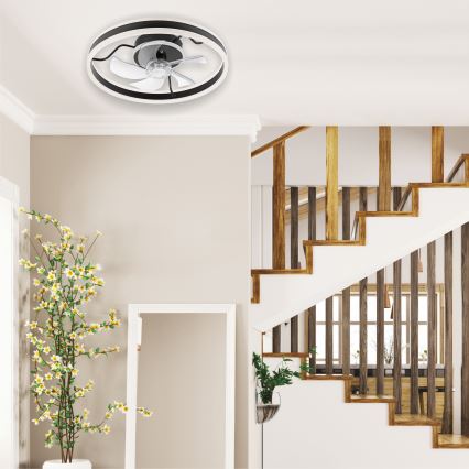 LED Dimbaar plafondlamp met ventilator APOLLO LED/38W/230V zwart + afstandsbediening