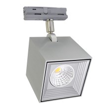 LED Plafondverlichting DAU SPOT MONOFASE LED/10W/230V