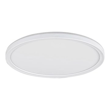 LED Plafondverlichting dimbaar PAVEL LED/22W/230V