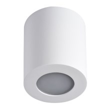 LED Plafonnier salle de bain SANI 1xGU10/10W/230V IP44 blanc