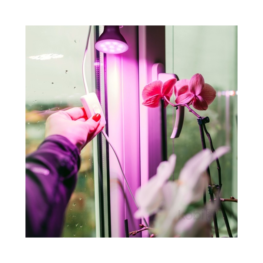 LED Plantengroeilamp PLANTY E27/7W/230V 1200K zwart