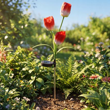 LED RGB decoratieve tuinlamp op zonne-energie 3xLED/3,7V 200 mAh IP44 tulp