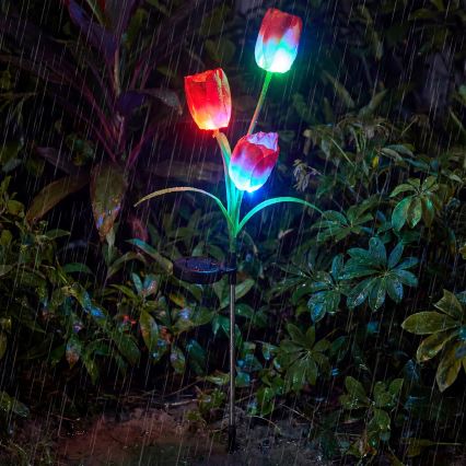 LED RGB decoratieve tuinlamp op zonne-energie 3xLED/3,7V 200 mAh IP44 tulp