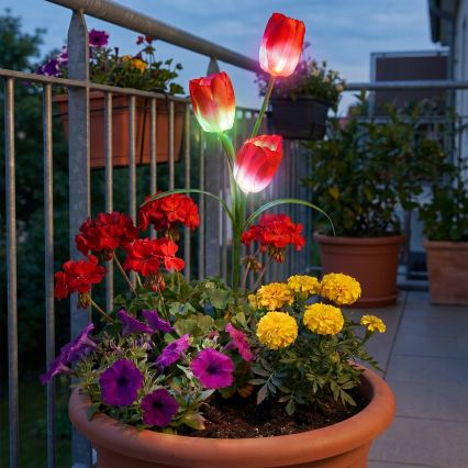 LED RGB decoratieve tuinlamp op zonne-energie 3xLED/3,7V 200 mAh IP44 tulp
