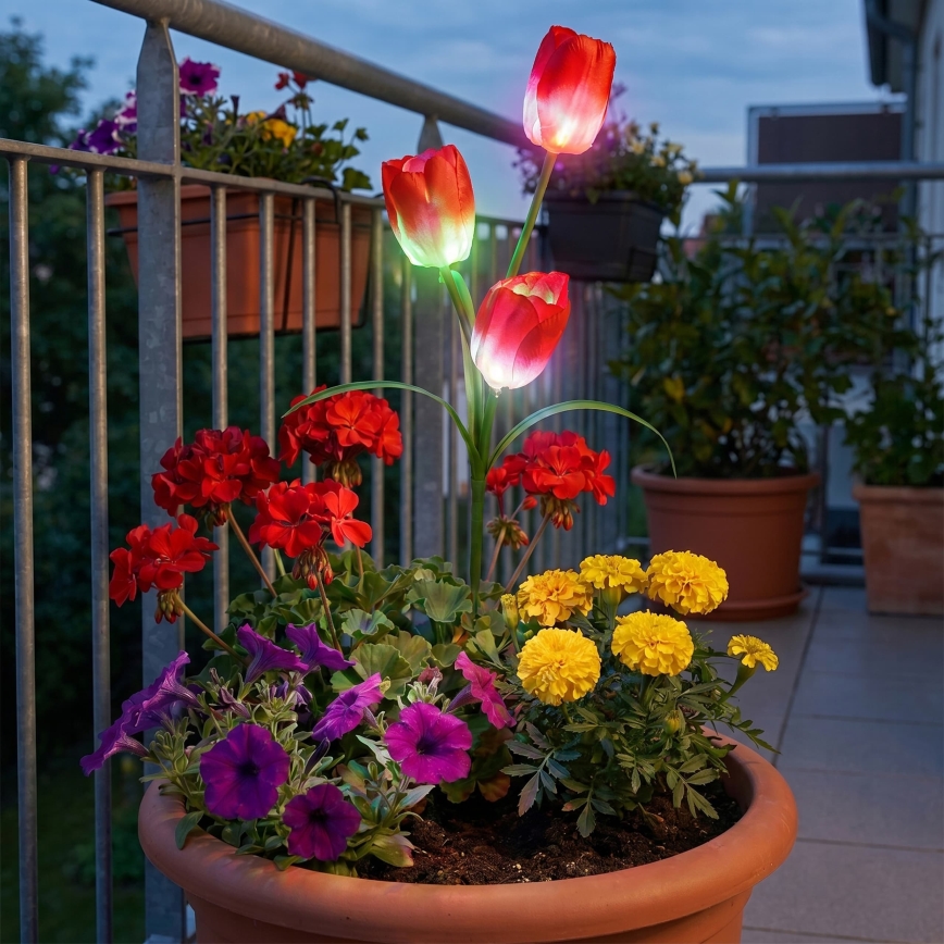 LED RGB decoratieve tuinlamp op zonne-energie 3xLED/3,7V 200 mAh IP44 tulp