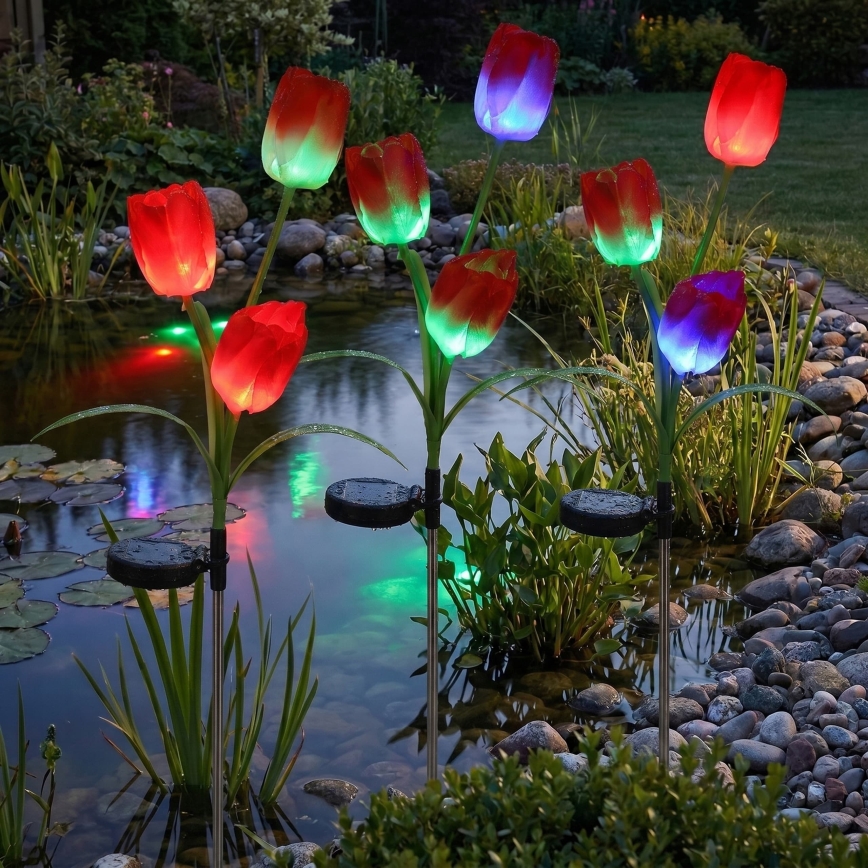 LED RGB decoratieve tuinlamp op zonne-energie 3xLED/3,7V 200 mAh IP44 tulp