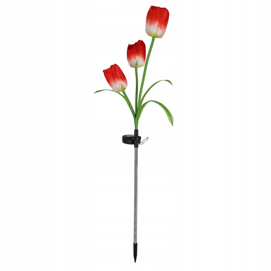 LED RGB decoratieve tuinlamp op zonne-energie 3xLED/3,7V 200 mAh IP44 tulp