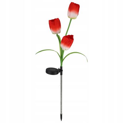 LED RGB decoratieve tuinlamp op zonne-energie 3xLED/3,7V 200 mAh IP44 tulp