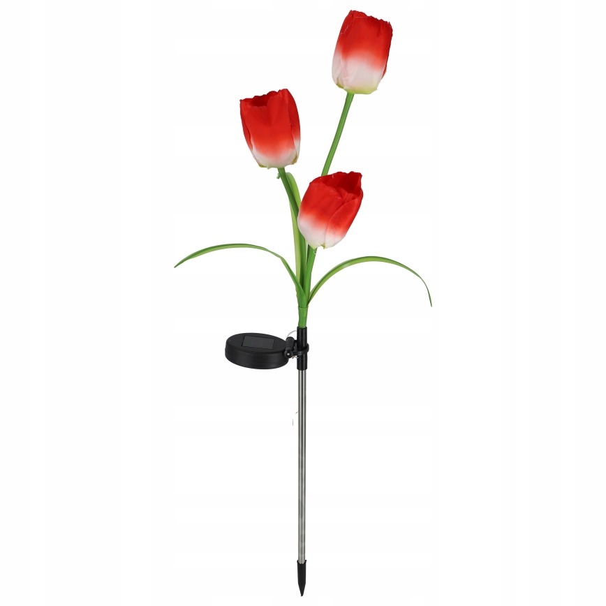 LED RGB decoratieve tuinlamp op zonne-energie 3xLED/3,7V 200 mAh IP44 tulp
