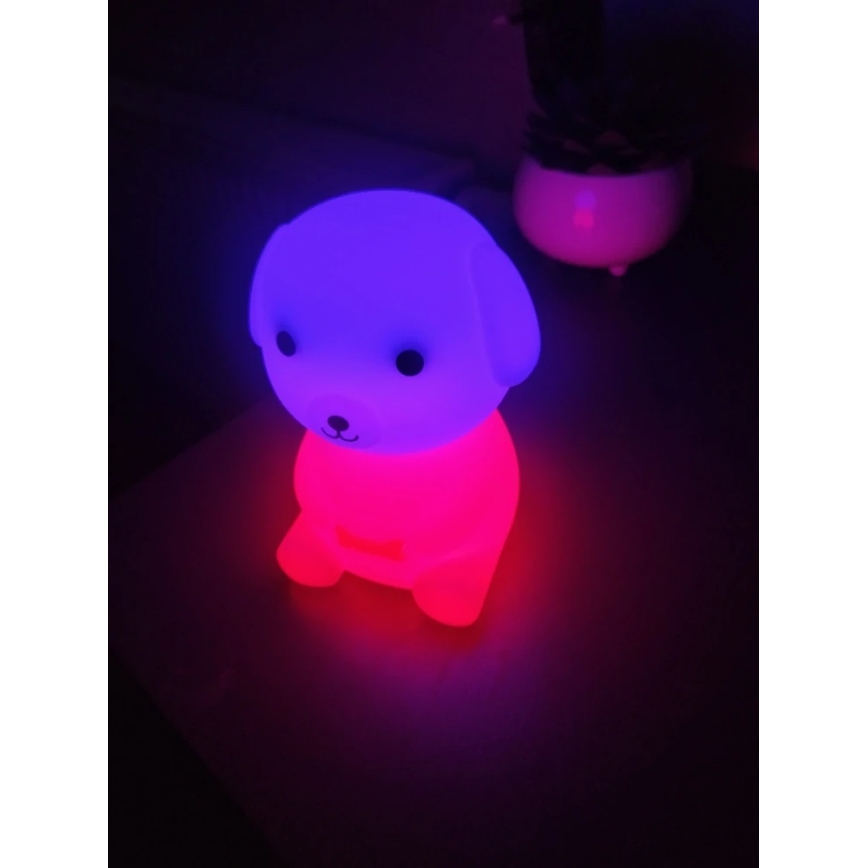 LED RGBW Dimbaar oplaadbaar kinder nachtlamp LED/2,5W/5V 3000K 1200 mAh hond